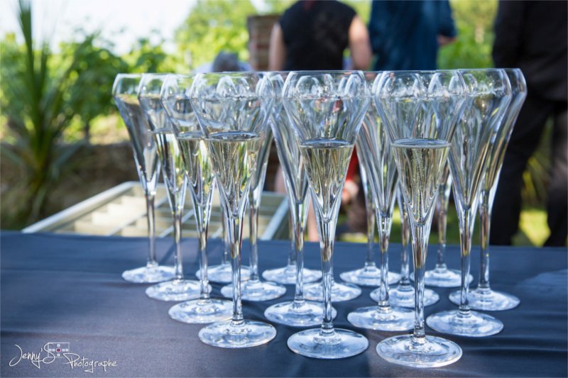 Mariage sur le thème des vignes - château Saint Louis (82)